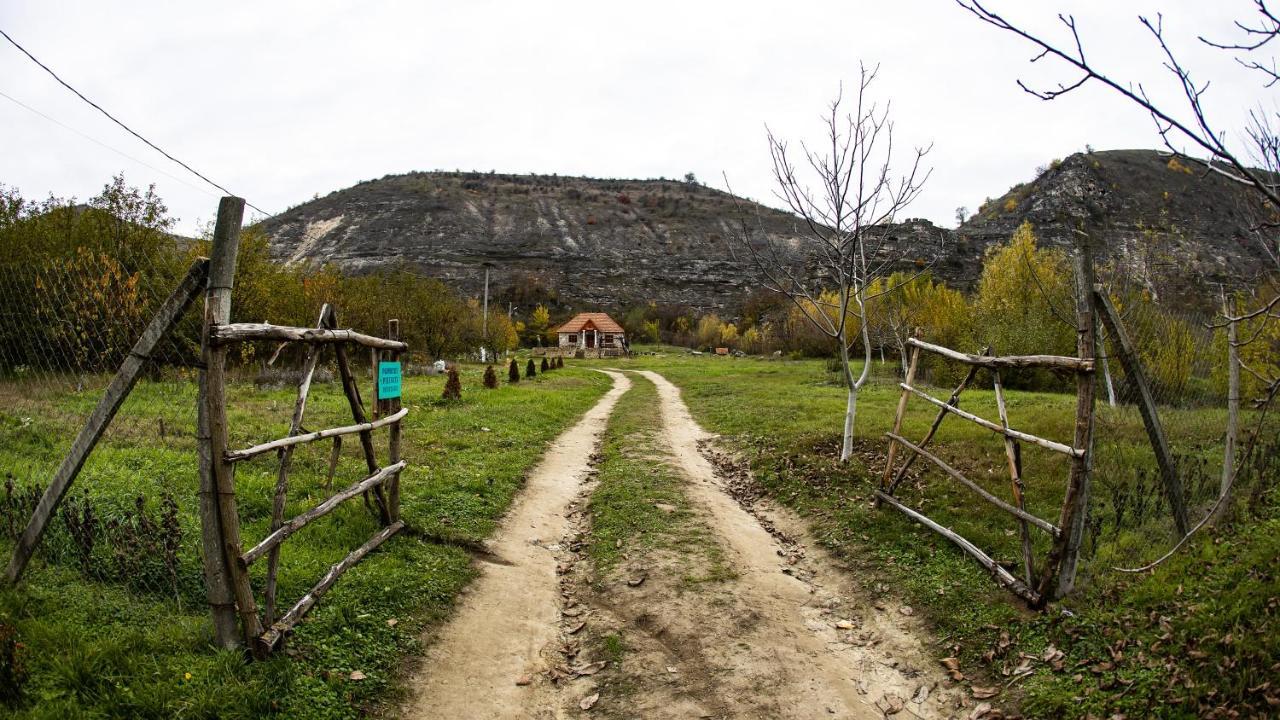 Casa Agricultorului Varzari Butuceny Kültér fotó